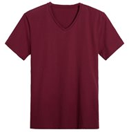 Đồng phục áo thun cổ tim 024